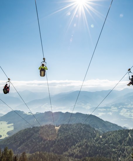 Flying Coaster in Gr bming Infos from A Z Schladming Dachstein